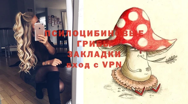 метадон Армянск