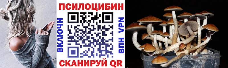 наркошоп  сайты даркнета состав  Галлюциногенные грибы мицелий  Белинский 